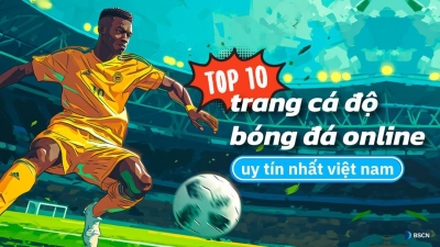 Top trang cá cược thể thao uy tín nhất hiện nay - Trangcacuocbongda.lat